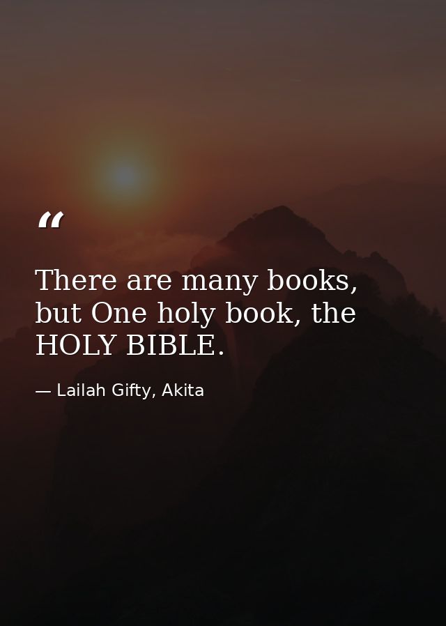 There are many books, but One holy book, the HOLY BIBLE. — Lailah Gifty, Akita