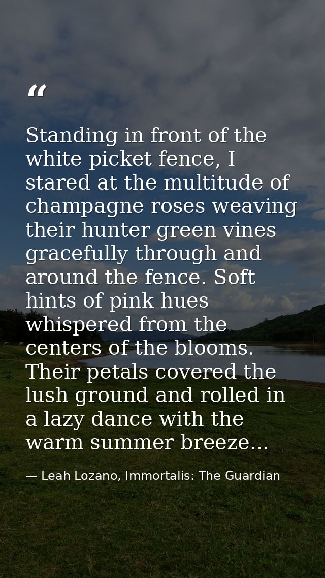 Standing in front of the white picket fence, I stared at the multitude of champagne roses weaving their hunter green vin — Leah Lozano, Immortalis: The Guardian