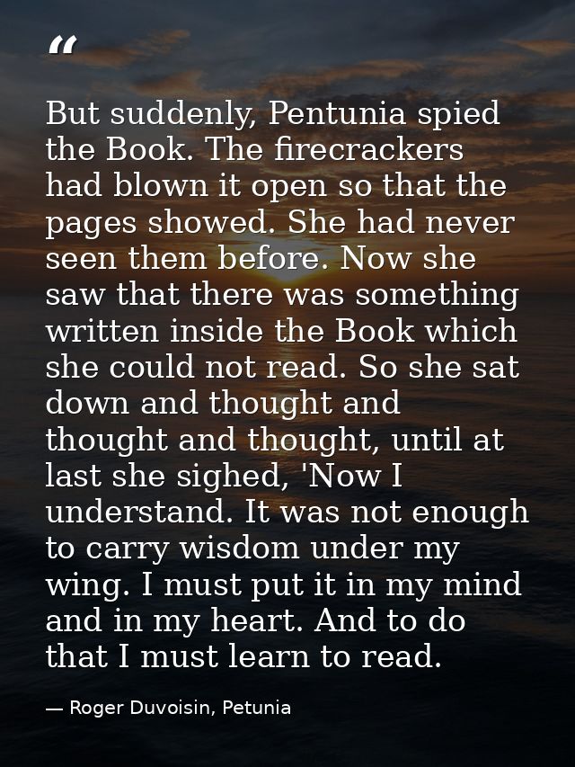 But suddenly, Pentunia spied the Book. The firecrackers had blown it open so that the pages showed. She had never seen t — Roger Duvoisin, Petunia