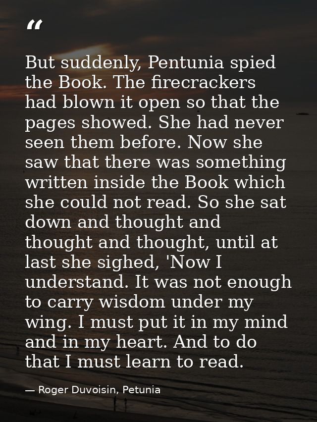 But suddenly, Pentunia spied the Book. The firecrackers had blown it open so that the pages showed. She had never seen t — Roger Duvoisin, Petunia