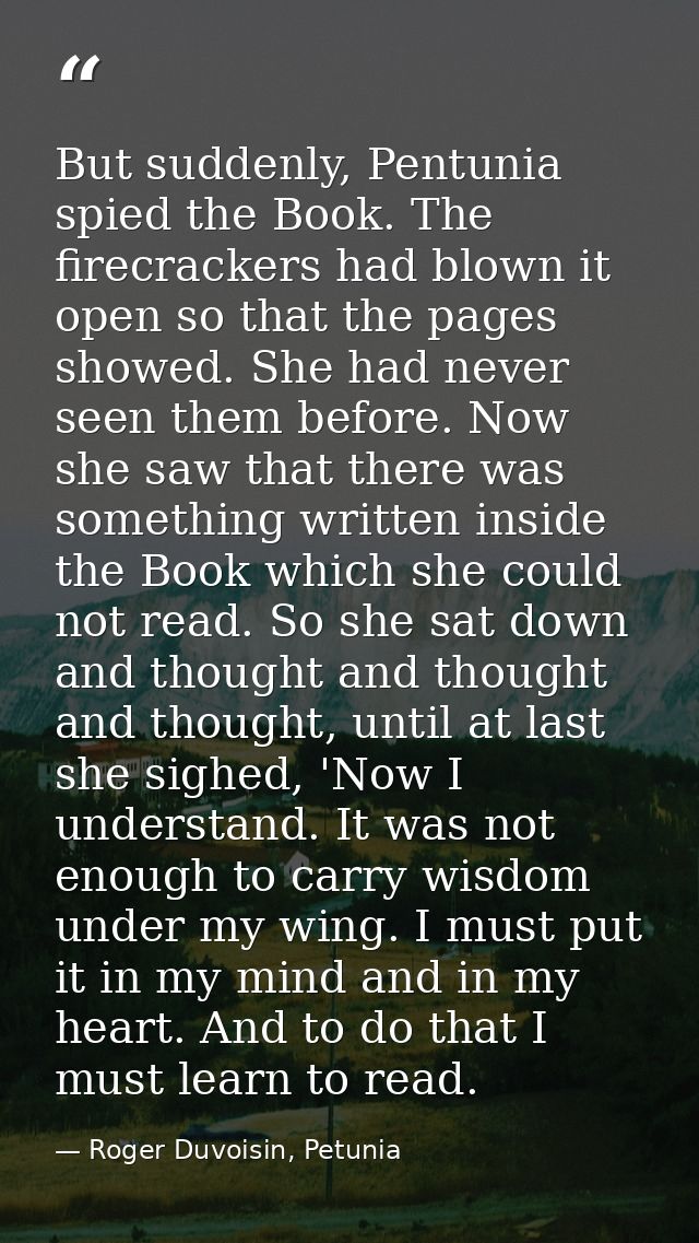But suddenly, Pentunia spied the Book. The firecrackers had blown it open so that the pages showed. She had never seen t — Roger Duvoisin, Petunia