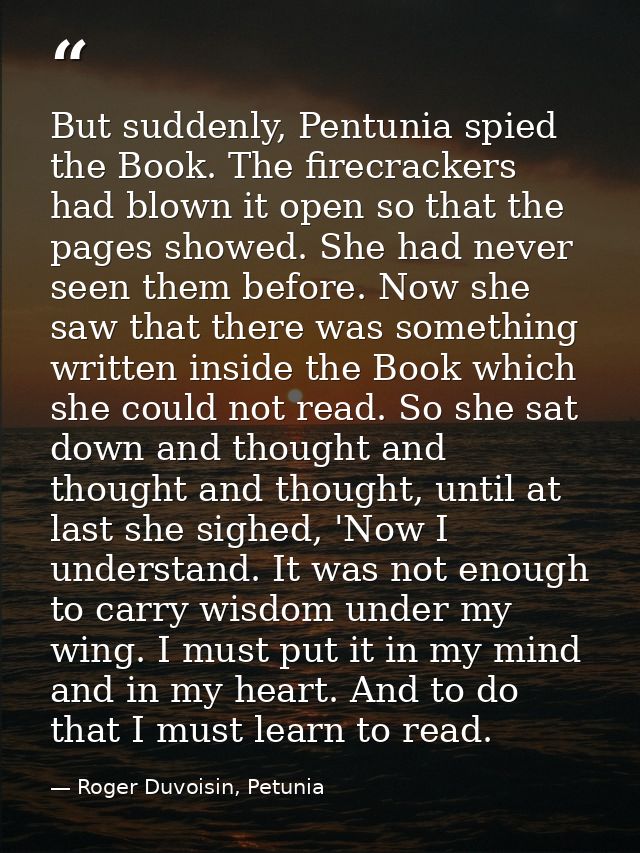 But suddenly, Pentunia spied the Book. The firecrackers had blown it open so that the pages showed. She had never seen t — Roger Duvoisin, Petunia