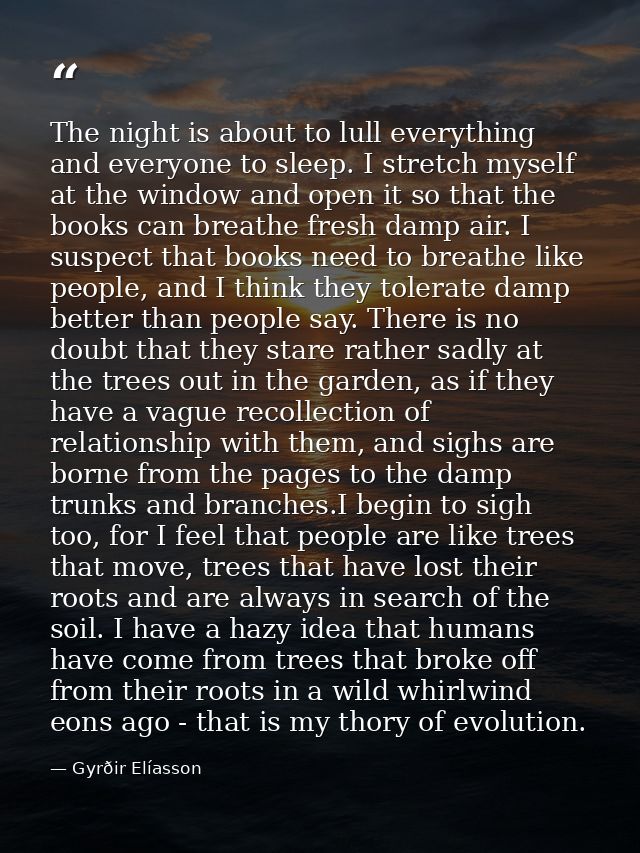 The night is about to lull everything and everyone to sleep. I stretch myself at the window and open it so that the book — Gyrðir Elíasson