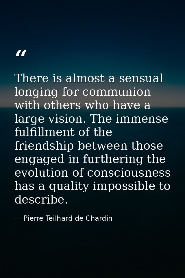 There is almost a sensual longing for communion with others who have a large vision. The immense fulfillment of the frie — Pierre Teilhard de Chardin