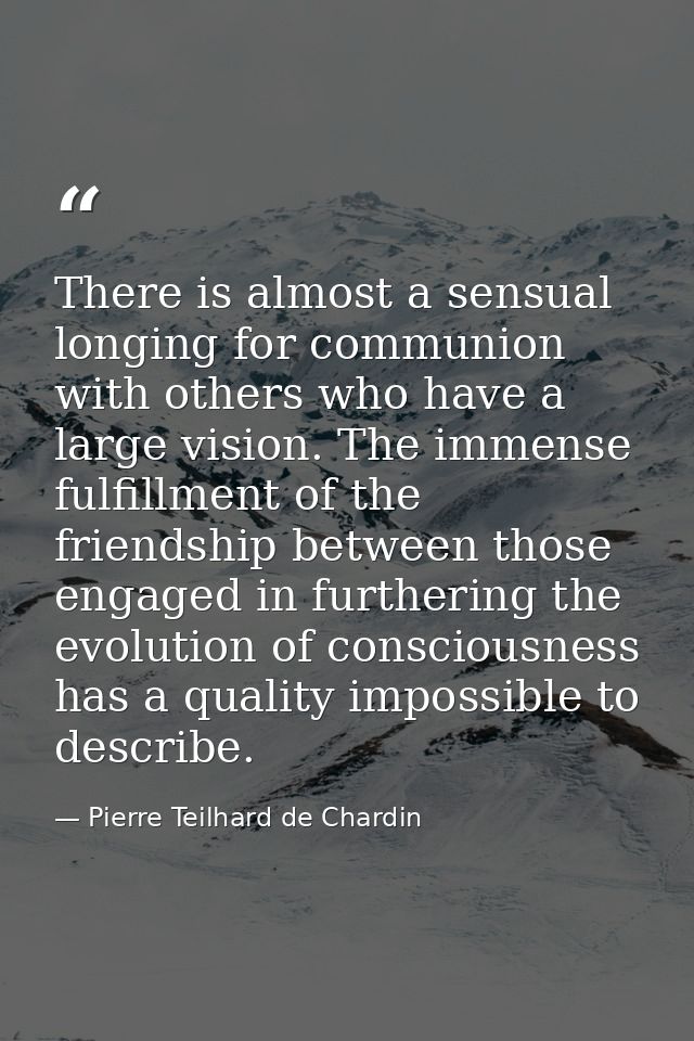 There is almost a sensual longing for communion with others who have a large vision. The immense fulfillment of the frie — Pierre Teilhard de Chardin