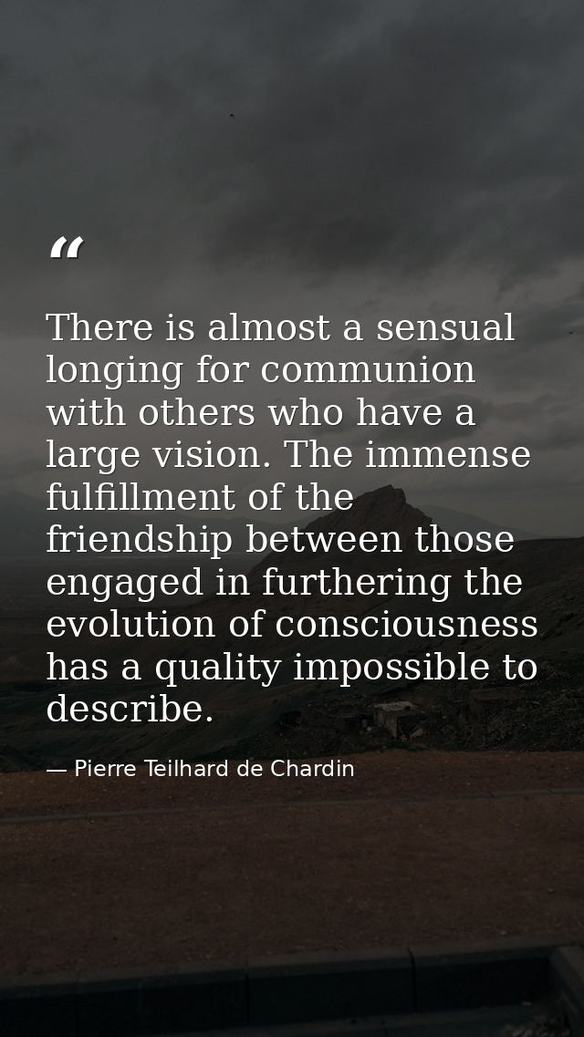 There is almost a sensual longing for communion with others who have a large vision. The immense fulfillment of the frie — Pierre Teilhard de Chardin