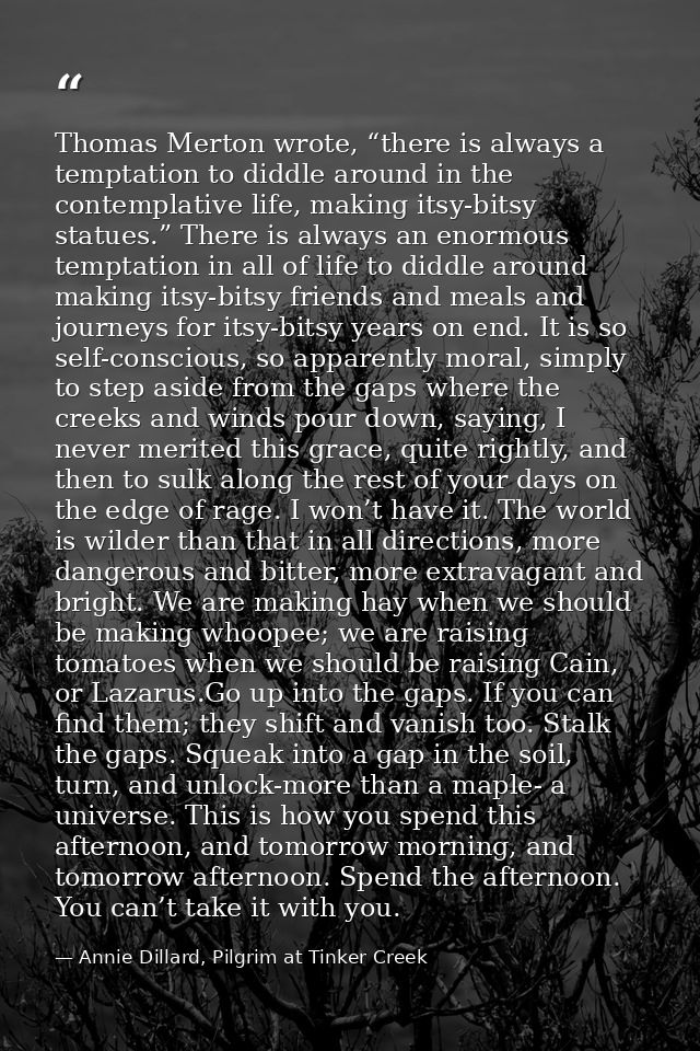Thomas Merton wrote, “there is always a temptation to diddle around in the contemplative life, making itsy-bitsy statues — Annie Dillard, Pilgrim at Tinker Creek