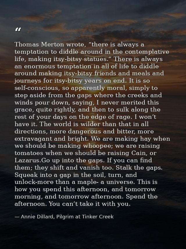 Thomas Merton wrote, “there is always a temptation to diddle around in the contemplative life, making itsy-bitsy statues — Annie Dillard, Pilgrim at Tinker Creek
