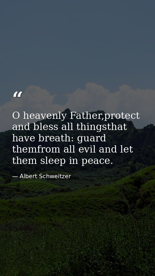 O heavenly Father,protect and bless all thingsthat have breath: guard themfrom all evil and let them sleep in peace. — Albert Schweitzer