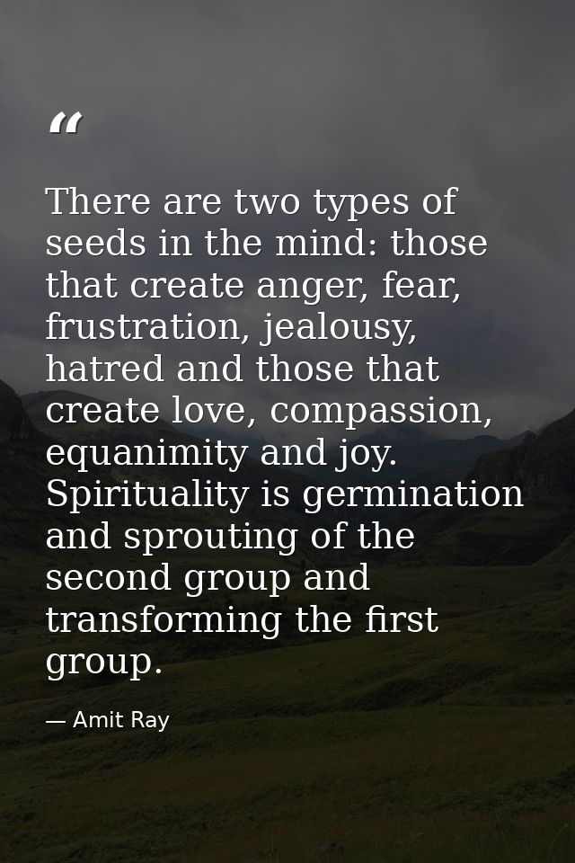 There are two types of seeds in the mind: those that create anger, fear, frustration, jealousy, hatred and those that cr — Amit Ray