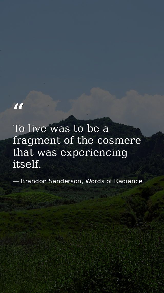 To live was to be a fragment of the cosmere that was experiencing itself. — Brandon Sanderson, Words of Radiance