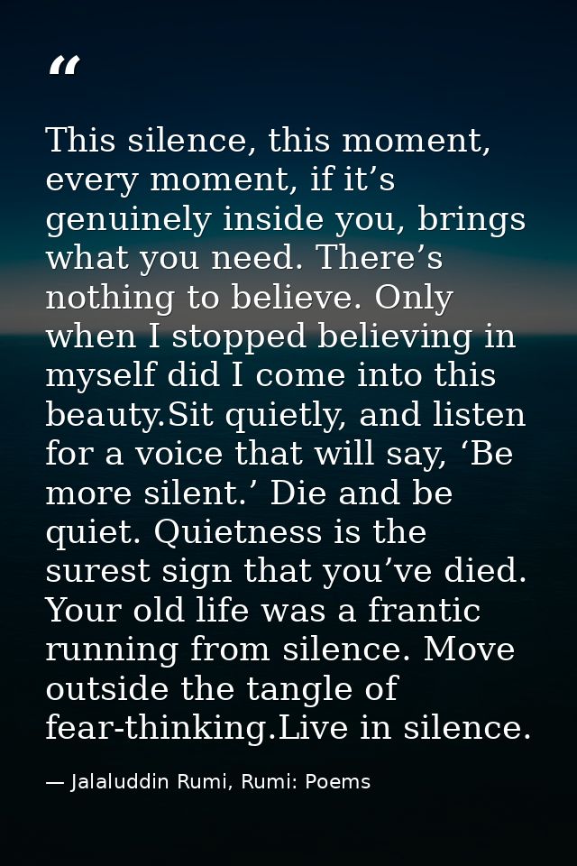 This silence, this moment, every moment, if it’s genuinely inside you, brings what you need. There’s nothing to believe. — Jalaluddin Rumi, Rumi: Poems