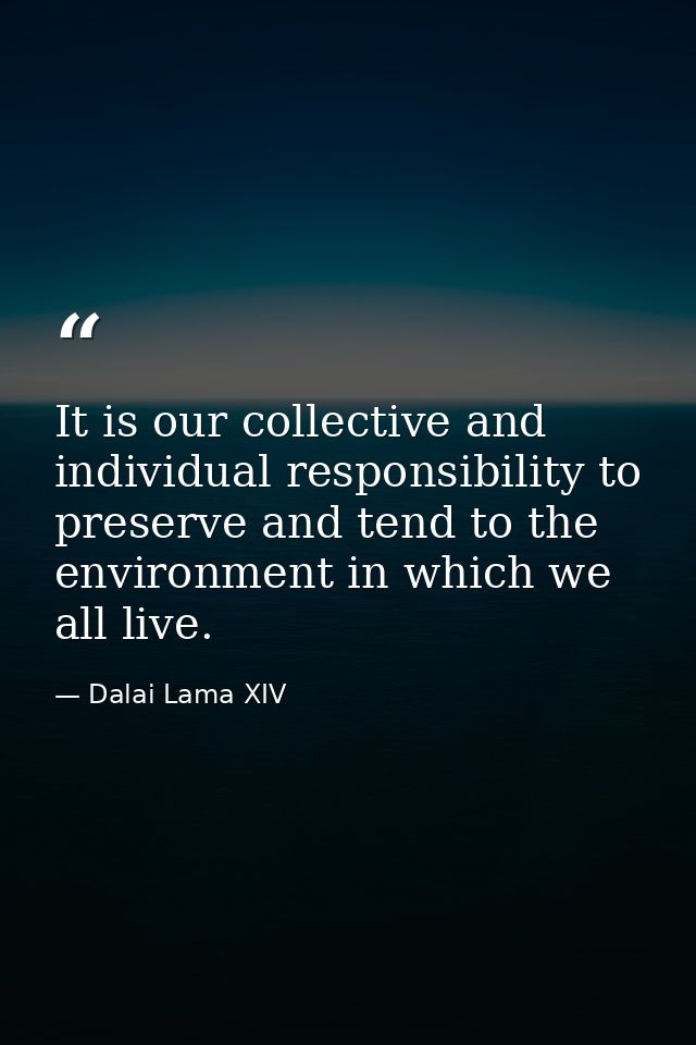 It is our collective and individual responsibility to preserve and tend to the environment in which we all live. — Dalai Lama XIV