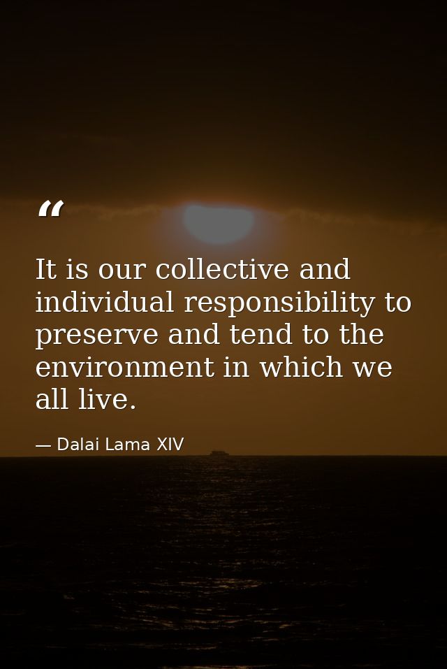 It is our collective and individual responsibility to preserve and tend to the environment in which we all live. — Dalai Lama XIV