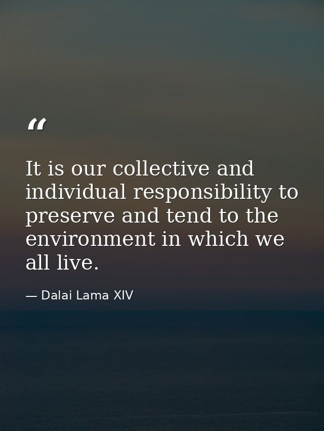 It is our collective and individual responsibility to preserve and tend to the environment in which we all live. — Dalai Lama XIV