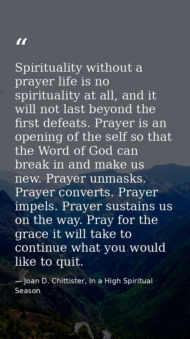 Spirituality without a prayer life is no spirituality at all, and it will not last beyond the first defeats. Prayer is a — Joan D. Chittister, In a High Spiritual Season
