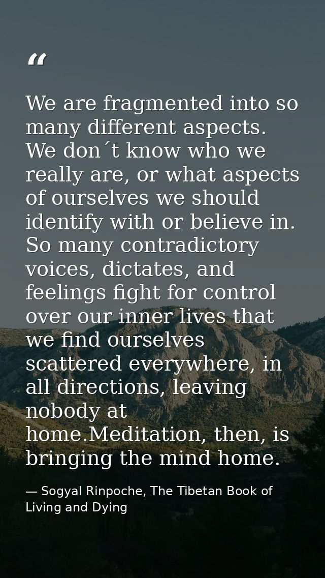 We are fragmented into so many different aspects. We don´t know who we really are, or what aspects of ourselves we shoul — Sogyal Rinpoche, The Tibetan Book of Living and Dying