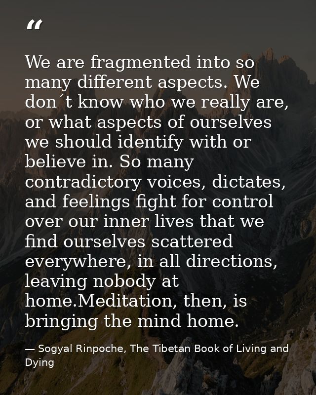 We are fragmented into so many different aspects. We don´t know who we really are, or what aspects of ourselves we shoul — Sogyal Rinpoche, The Tibetan Book of Living and Dying