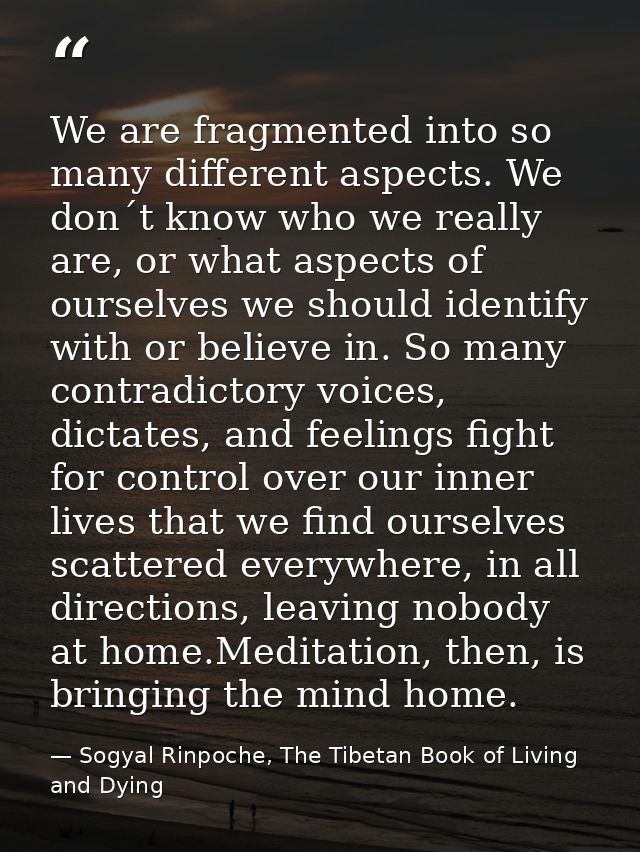 We are fragmented into so many different aspects. We don´t know who we really are, or what aspects of ourselves we shoul — Sogyal Rinpoche, The Tibetan Book of Living and Dying