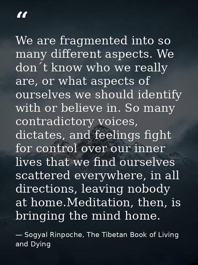 We are fragmented into so many different aspects. We don´t know who we really are, or what aspects of ourselves we shoul — Sogyal Rinpoche, The Tibetan Book of Living and Dying