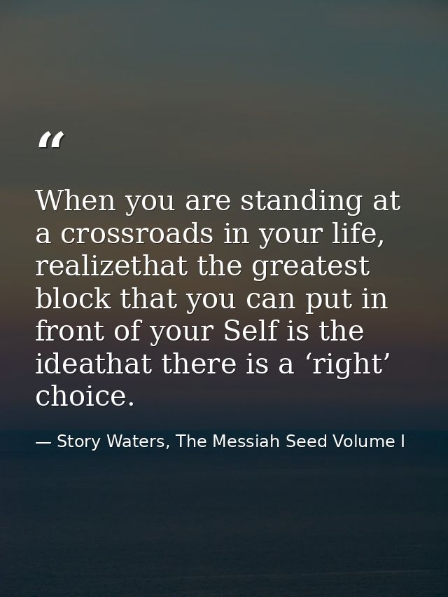 When you are standing at a crossroads in your life, realizethat the greatest block that you can put in front of your Sel — Story Waters, The Messiah Seed Volume I