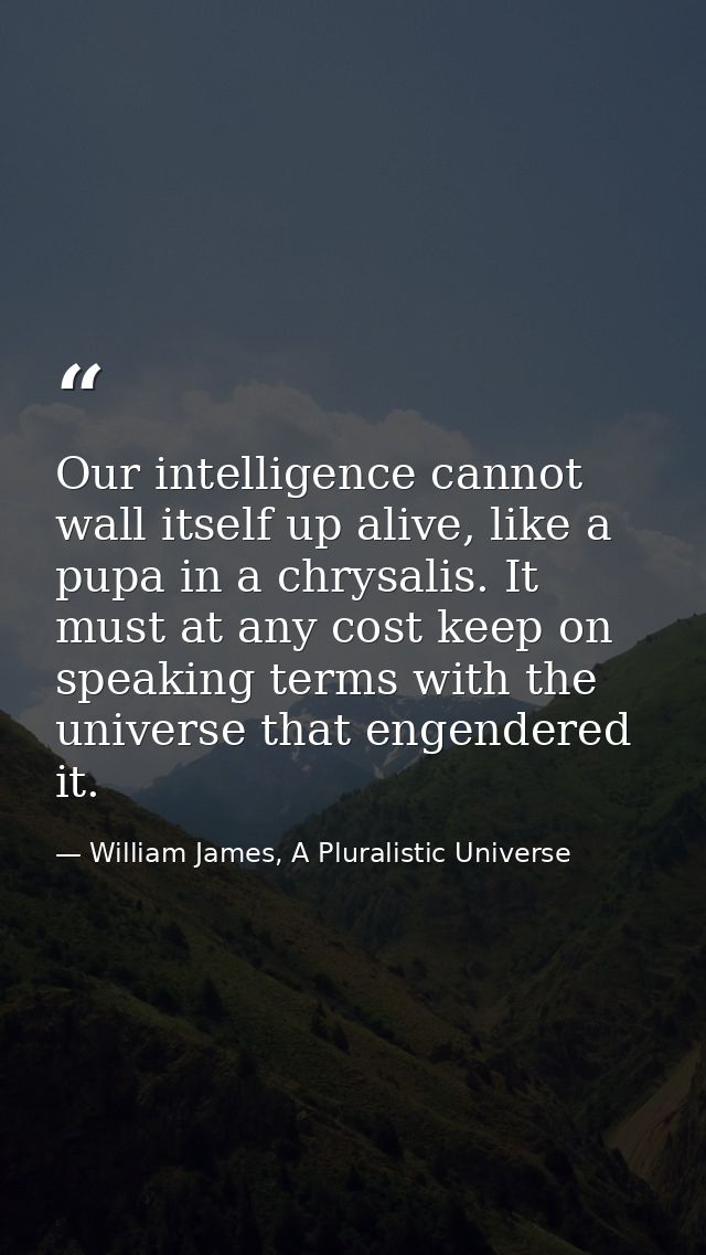 Our intelligence cannot wall itself up alive, like a pupa in a chrysalis. It must at any cost keep on speaking terms wit — William James, A Pluralistic Universe