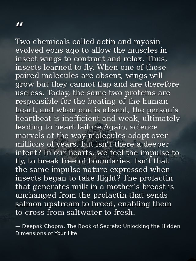 Two chemicals called actin and myosin evolved eons ago to allow the muscles in insect wings to contract and relax. Thus, — Deepak Chopra, The Book of Secrets: Unlocking the Hidden Dimensions of Your Life