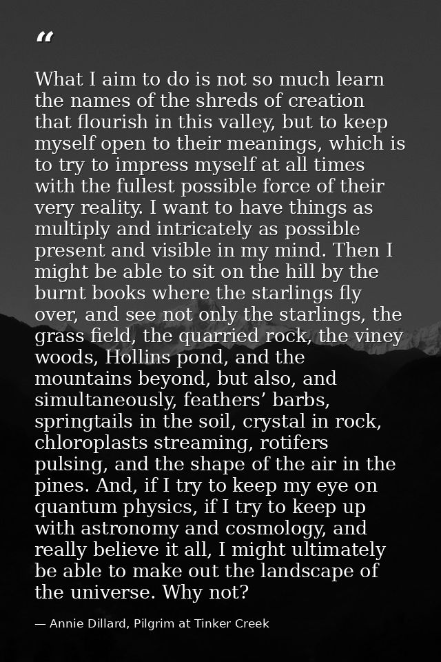 What I aim to do is not so much learn the names of the shreds of creation that flourish in this valley, but to keep myse — Annie Dillard, Pilgrim at Tinker Creek