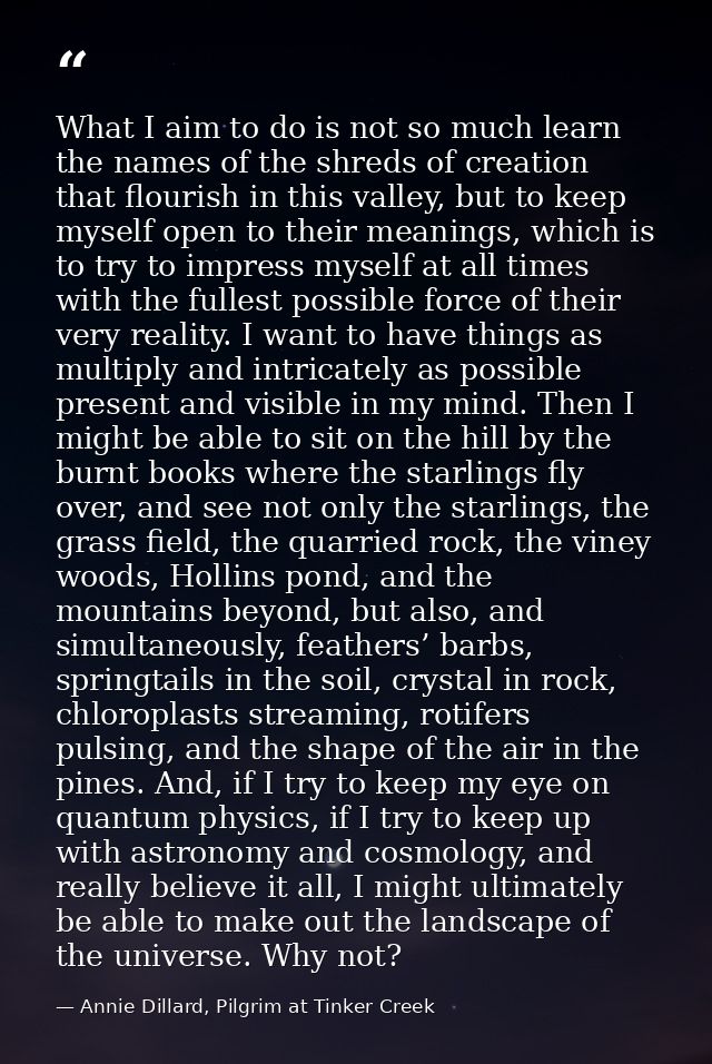 What I aim to do is not so much learn the names of the shreds of creation that flourish in this valley, but to keep myse — Annie Dillard, Pilgrim at Tinker Creek