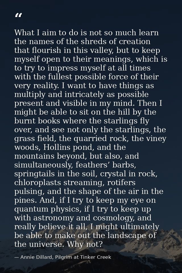 What I aim to do is not so much learn the names of the shreds of creation that flourish in this valley, but to keep myse — Annie Dillard, Pilgrim at Tinker Creek