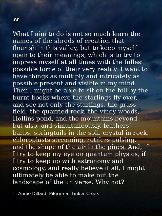 What I aim to do is not so much learn the names of the shreds of creation that flourish in this valley, but to keep myse — Annie Dillard, Pilgrim at Tinker Creek