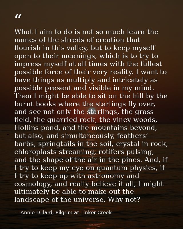 What I aim to do is not so much learn the names of the shreds of creation that flourish in this valley, but to keep myse — Annie Dillard, Pilgrim at Tinker Creek