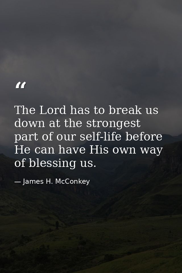 The Lord has to break us down at the strongest part of our self-life before He can have His own way of blessing us. — James H. McConkey