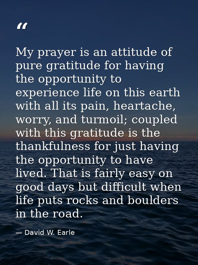 My prayer is an attitude of pure gratitude for having the opportunity to experience life on this earth with all its pain — David W. Earle