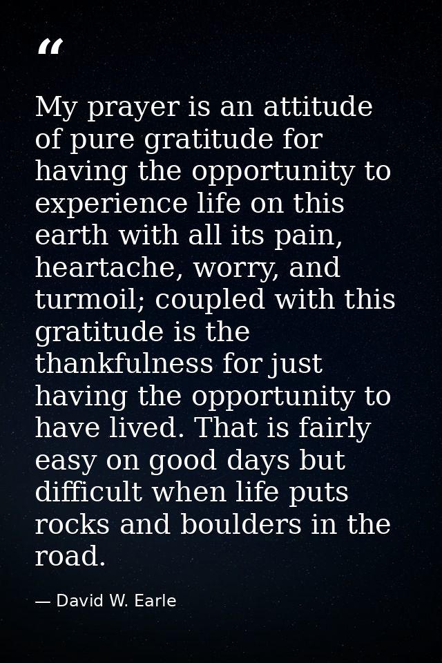 My prayer is an attitude of pure gratitude for having the opportunity to experience life on this earth with all its pain — David W. Earle