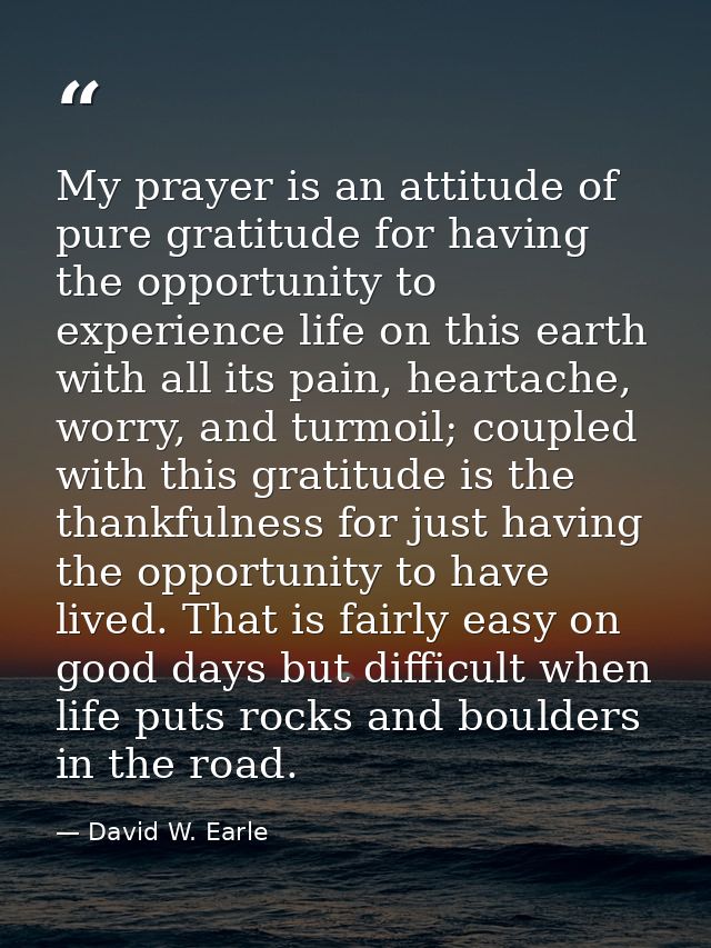 My prayer is an attitude of pure gratitude for having the opportunity to experience life on this earth with all its pain — David W. Earle