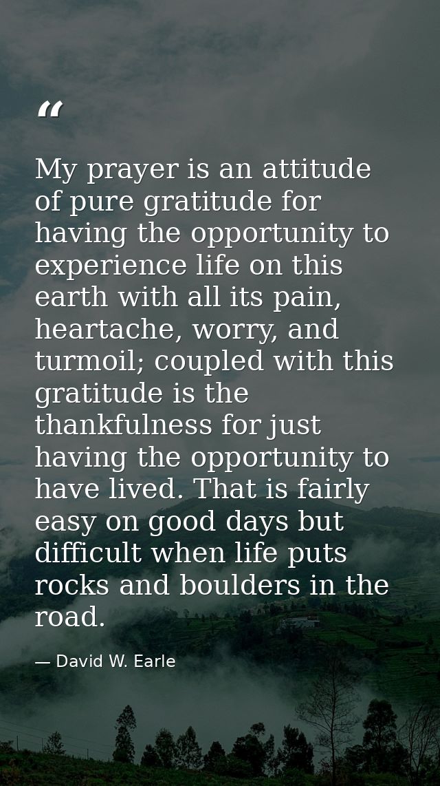 My prayer is an attitude of pure gratitude for having the opportunity to experience life on this earth with all its pain — David W. Earle