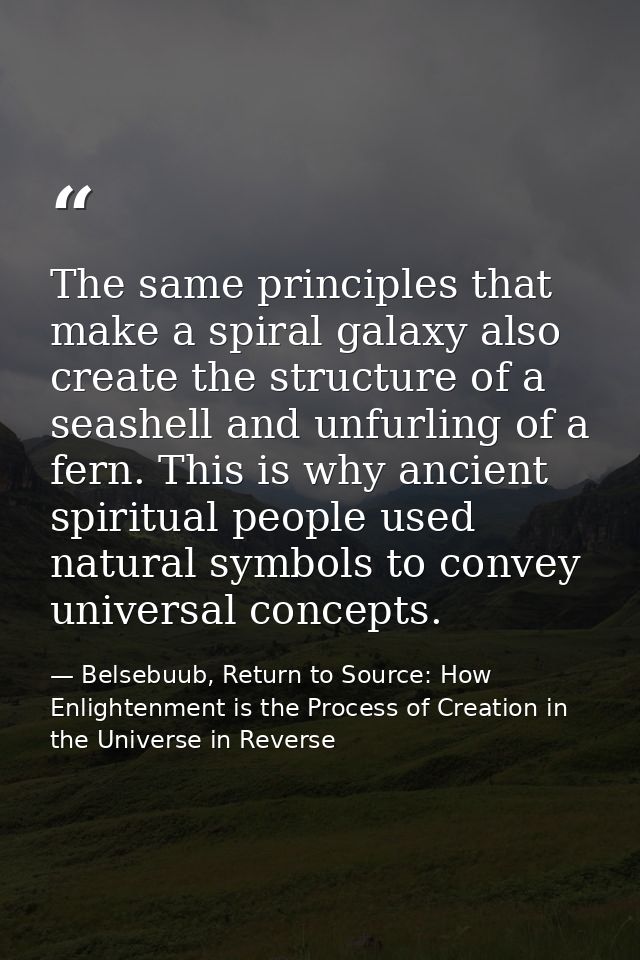 The same principles that make a spiral galaxy also create the structure of a seashell and unfurling of a fern. This is w — Belsebuub, Return to Source: How Enlightenment is the Process of Creation in the Universe in Reverse