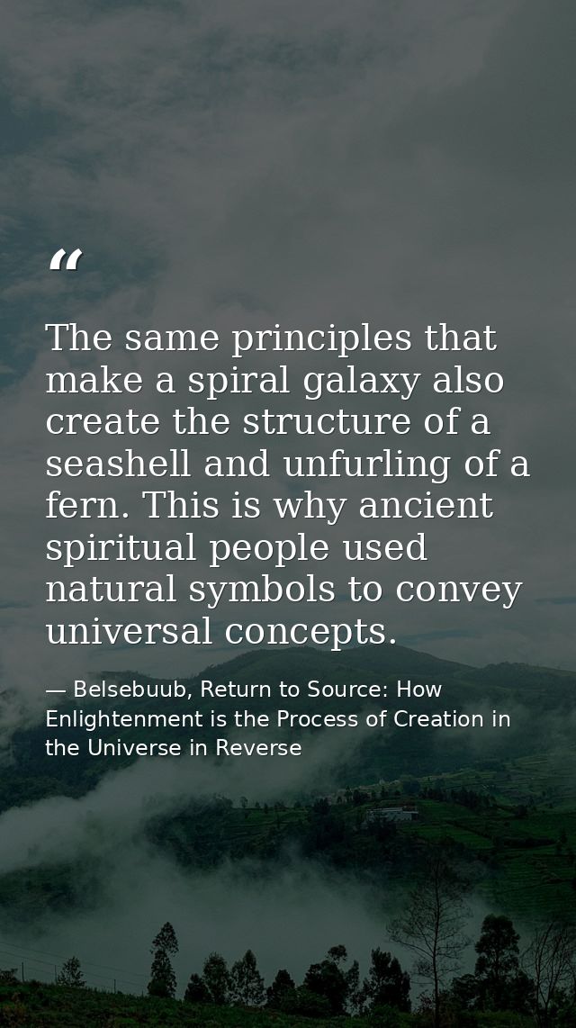 The same principles that make a spiral galaxy also create the structure of a seashell and unfurling of a fern. This is w — Belsebuub, Return to Source: How Enlightenment is the Process of Creation in the Universe in Reverse