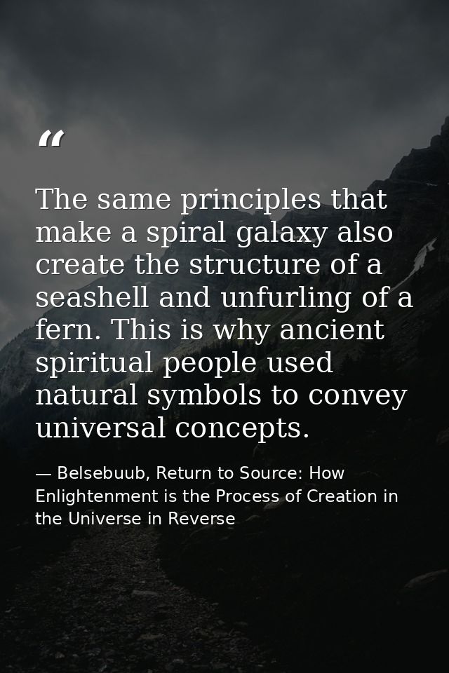 The same principles that make a spiral galaxy also create the structure of a seashell and unfurling of a fern. This is w — Belsebuub, Return to Source: How Enlightenment is the Process of Creation in the Universe in Reverse
