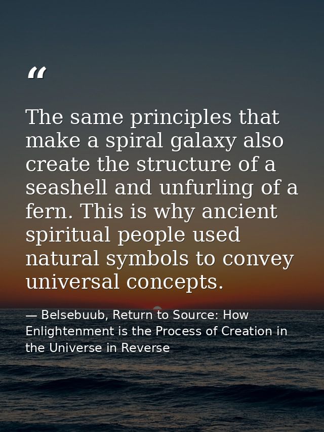 The same principles that make a spiral galaxy also create the structure of a seashell and unfurling of a fern. This is w — Belsebuub, Return to Source: How Enlightenment is the Process of Creation in the Universe in Reverse