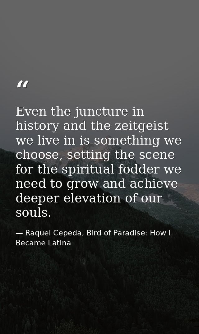 Even the juncture in history and the zeitgeist we live in is something we choose, setting the scene for the spiritual fo — Raquel Cepeda, Bird of Paradise: How I Became Latina