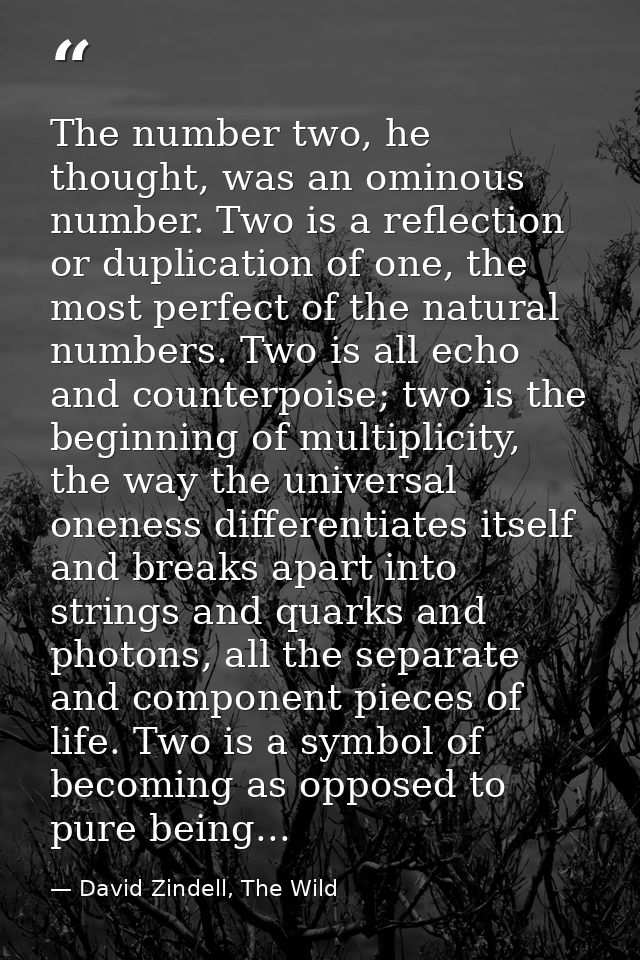 The number two, he thought, was an ominous number. Two is a reflection or duplication of one, the most perfect of the na — David Zindell, The Wild