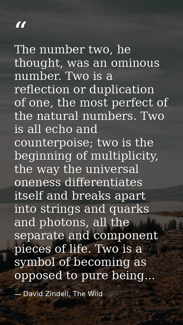 The number two, he thought, was an ominous number. Two is a reflection or duplication of one, the most perfect of the na — David Zindell, The Wild