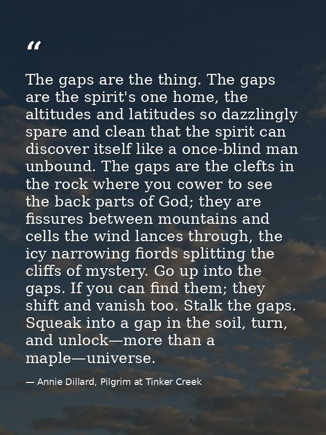 The gaps are the thing. The gaps are the spirit's one home, the altitudes and latitudes so dazzlingly spare and clean th — Annie Dillard, Pilgrim at Tinker Creek