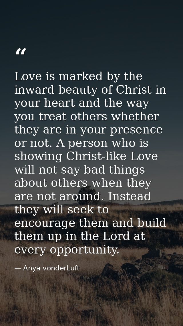 Love is marked by the inward beauty of Christ in your heart and the way you treat others whether they are in your presen — Anya vonderLuft