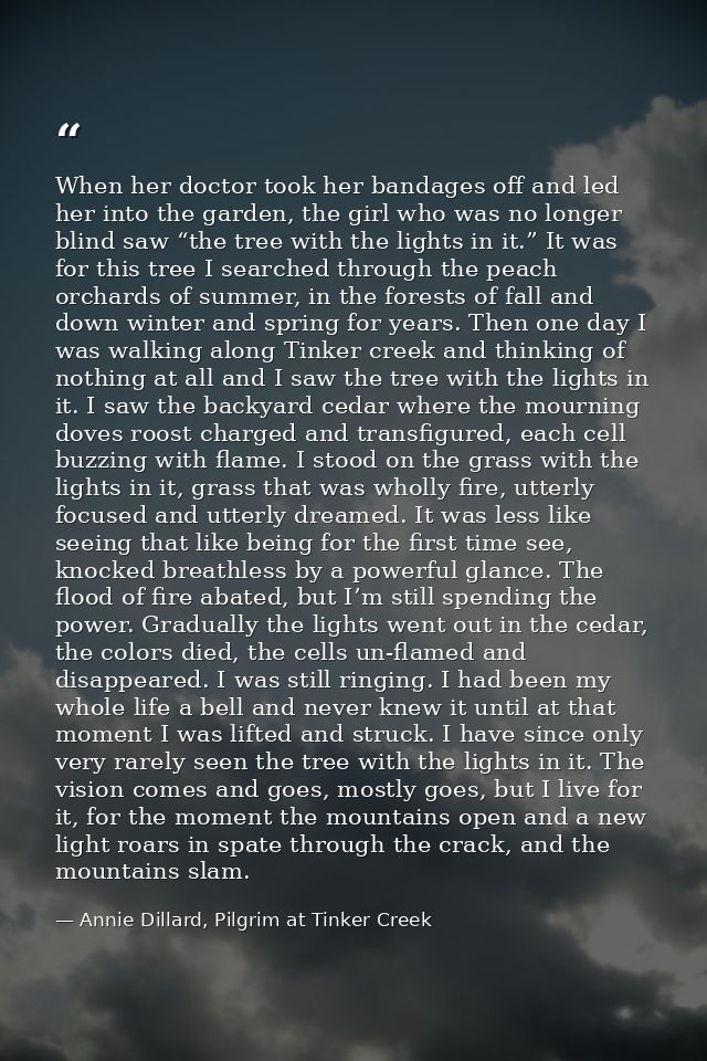 When her doctor took her bandages off and led her into the garden, the girl who was no longer blind saw “the tree with t — Annie Dillard, Pilgrim at Tinker Creek
