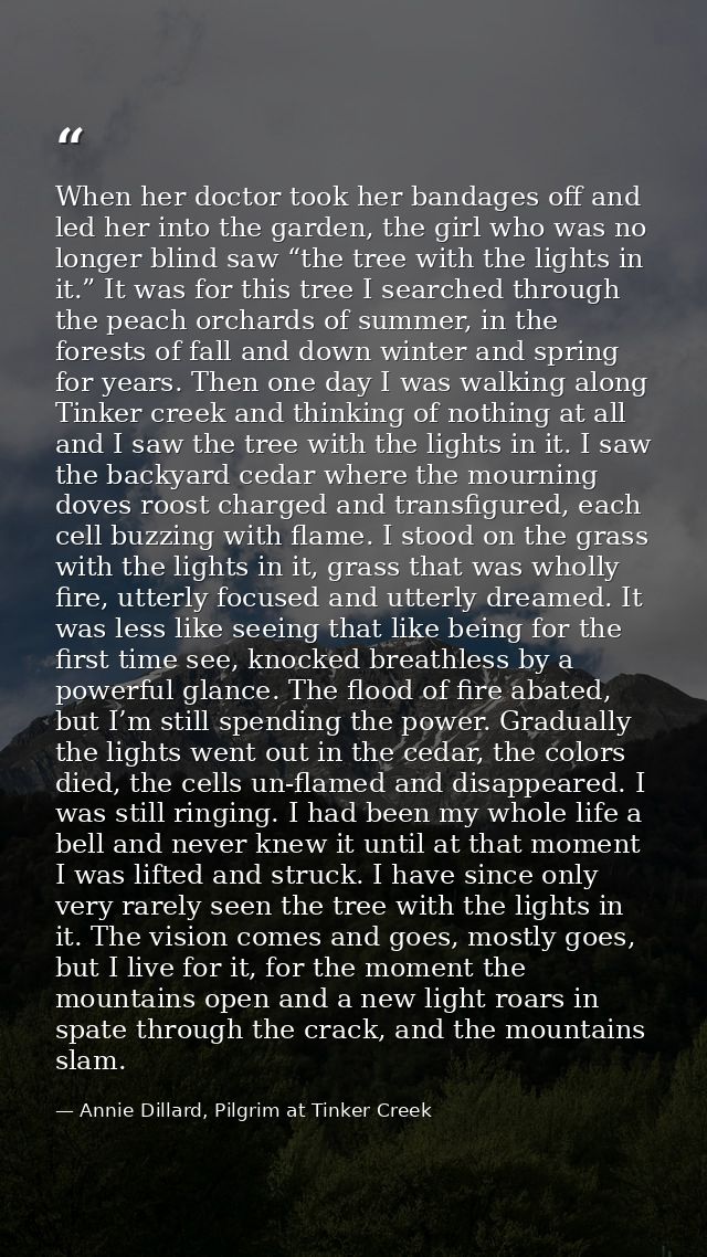 When her doctor took her bandages off and led her into the garden, the girl who was no longer blind saw “the tree with t — Annie Dillard, Pilgrim at Tinker Creek