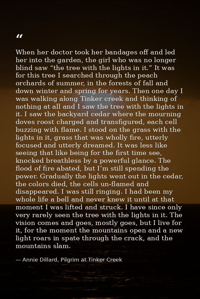When her doctor took her bandages off and led her into the garden, the girl who was no longer blind saw “the tree with t — Annie Dillard, Pilgrim at Tinker Creek