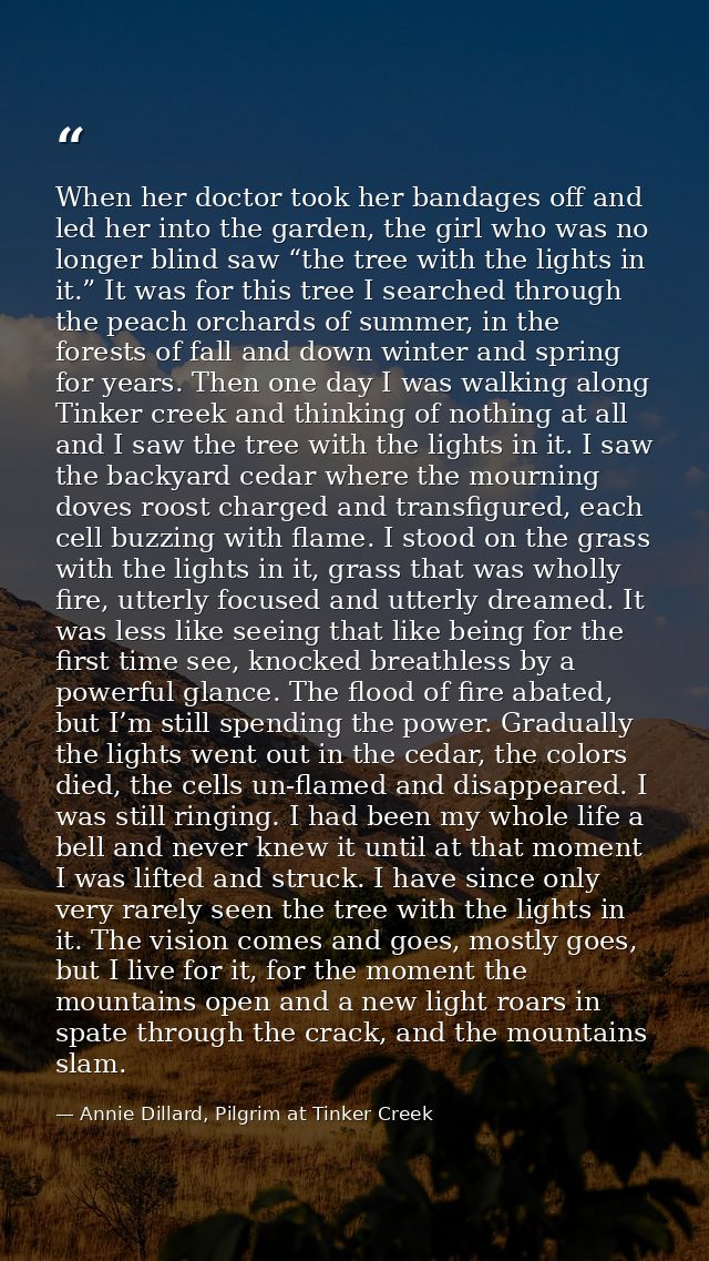 When her doctor took her bandages off and led her into the garden, the girl who was no longer blind saw “the tree with t — Annie Dillard, Pilgrim at Tinker Creek